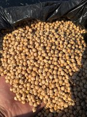 Chickpeas/Green Lentils, Red Lentils, Oats, Oat Flakes, Safflower, Hulled Oats, Yellow Peas, Barley, Coriander - Image 2