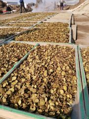 licorice root Packaging box Type dried root Weight (kg) 25 kg - Image 5