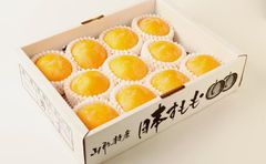 Bulk Fresh Japanese Houman Yellow Plum Type Plum Style Fresh Color Yellow Content Fresh plums Address Hyogo, Japan Place of Origin - Image 5
