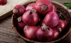 Red Onion - Image 1