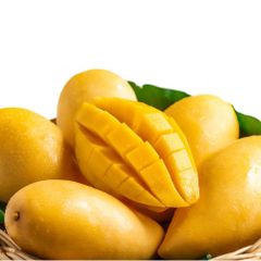 Sweat Taste Dusehri Mango High Quality Dusehri Mango Pakistan Suppliers Dusehri Mango - Image 2