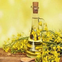 Refined Canola Oil Premium Cooking Oil For Healthy Meals Restaurant Kitchens Food Processing - Image 3