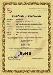 CFAM-1,CFAM-02 10inch Electric Bike ROHS certificate certificate from Jinhua Leichten Electric Technology Co., Ltd.