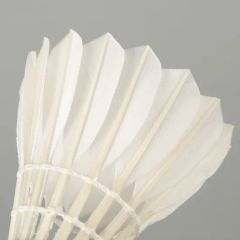Training Badminton Shuttlecock 60 Model - Image 3