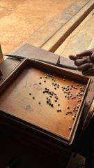 Premium Ugandan Coffee Beans – product photo 4, product detail gallery