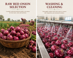 Premium Indian Red Onion Powder - Image 2