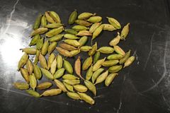 CARDAMOM - Image 2