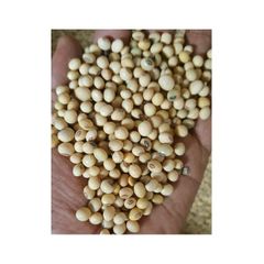 Ethiopia Non Gmo Soya bean Style Dried Storage Type dry Brand Name HAJUTA Drying Process AD Content contact us Shelf Life 2 - Image 1