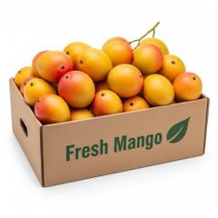 Fresh Mango Export Ready Harvest With Golden Flesh Pleasant Sweetness And Professional Packaging For Bulk Orders - Image 1