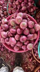 Fresh Indian Onion – product photo 1, product detail gallery
