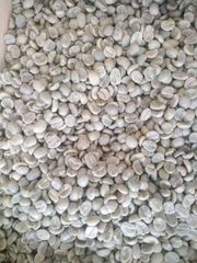 BEST QUALITY COFFEE BEANS NEW CROP HOT SELLING REASONABLE GREEN SEEDS READY WHATSAP +255787979235 – product photo 5, product detail gallery