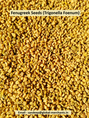 Fenugreek Seeds | Indian Methi Seeds | Whole Fenugreek Seeds | Premium Quality | Machine Cleaned | Bulk Export Supplier – product photo 3, product detail gallery