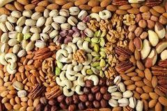Premium Organic White Whole Cashew Kernels WW240 - Fresh Crop - High Protein & Non-GMO - Export Quality for Global Markets (Bulk 10kg/22.68kg Vacuum Pack) - Image 3