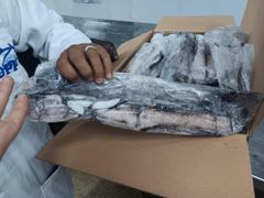 HIGHLY VALUED SEA FROZEN WHOLE SQUID(LOLIGO VULGARIS) CLEANED SQUID SLIGHTLY SWEET FLAVOR 20KG CARTONS ON SALE - Image 2