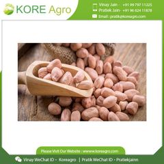 Best Pure Natural Dried Java Peanuts 100% Raw Quality Ground Nuts Peanuts Buy At Low Price - Image 5