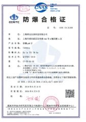 Certificate certificate from Shanghai Chunye Instrument Technology Co., Ltd.