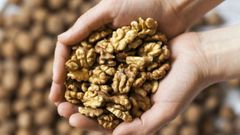Premium Quality Walnuts – In-Shell & Kernels | Export Grade | Bulk Supply – product photo 3, product detail gallery