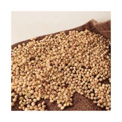 Wholesale sorghum grains bulk supply for food processing and milling - Image 1
