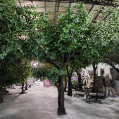 10FT Artificial Trees for Indoor Decorative Suitable for Public Producing Time 7-15 Days Shipping by Express/by Air/by Sea/by Train - Image 2