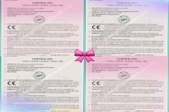 CE for wood processing machines certificate from Zhengzhou Invech Machinery Co., Limited