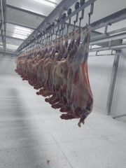 Frozen Goat Meat Full Carcass - Image 5