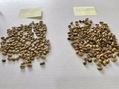 Arabica Roasted Coffee Beans Dark Brown Whole Bean Medium Roast Fresh Aroma Rich Flavor Premium Quality - Image 2