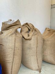 Robusta coffee beans/Arabica And Robusta Coffee Beans , Green Coffee Beans for sale – product photo 5, product detail gallery