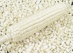 White Maize - Image 1