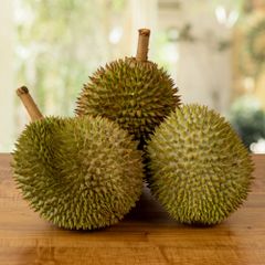 Fresh Premium Durian D24 Malaysia (Whole Fruit) Grade A Style Fresh Type DURIAN Weight (kg) 2 Certification GAP Cultivation Type - Image 2