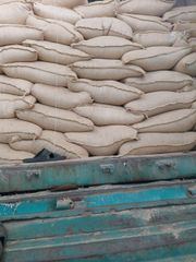 Coffee & Coffee Bean – product photo 1, product detail gallery
