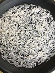 1121 Steam Rice - Image 2