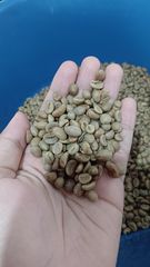 Coffee & Coffee Bean – product photo 2, product detail gallery