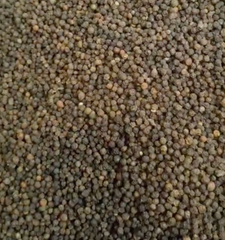 Black Pepper (Piper Nigrum) – product photo 2, product detail gallery