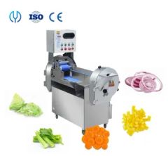 Multifunctional Belt Removable Double Heads Green Onion Vegetable Chopper/ Vegetable Fruit Slicing Shredding Dicing Machine - Zhucheng Yido Intelligent Technology Co., Ltd.