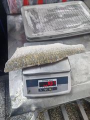 Frozen Mullet Fillet - Image 1