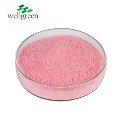 Wellgreen Fruit Powder Strawberry Juice Powder Strawberry Powder - Image 1
