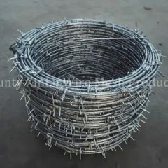 Anping Factory Barbed Iron Wire Mesh - Image 5