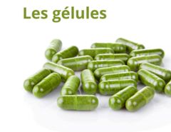 Human nutritional supplements - Image 1