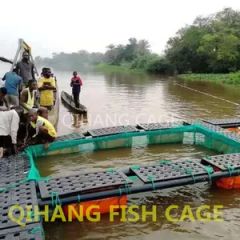Carp Fish Farming, Catfish Farming Equipment for Sale - Image 6
