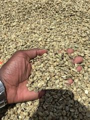 Premium Arabica Green Coffee Beans – product photo 2, product detail gallery