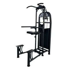 Training Gym Equipment Indoor Exercise Chin DIP Assist Arm Strength Machine Life Fitness Body Building - WNQ (Shanghai) Body-Building Equipment Co., Ltd.