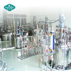 Fruit Extract 100 Natural Freeze Drying Acai Berry Extract Concentrate Juice Powder - Image 6