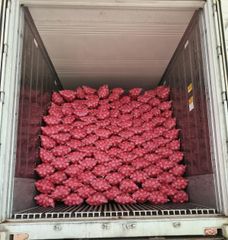 Red Onion – product photo 2, product detail gallery