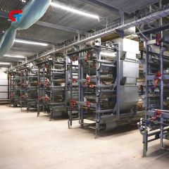 Chicken Multi Layer Automatic Manure Cleaning Feeding Poultry Farm Cage - Image 3