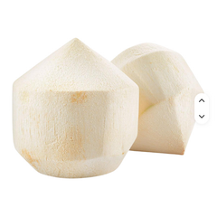 V.Kaus Vietnam Agriculture Sweet Young Green 0.8-1.2kg with Whole Husk Supply Wholesale 100% Fresh Coconut Water - Image 2