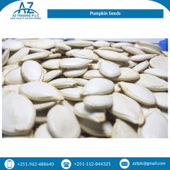 Rich Quality High Grade Pure Natural Organic Pumpkin Seeds Kernels from Top Supplier - Image 2