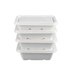 Biodegradable Compostable 90D Plates Custom Embossing MOQ100 1Y - Image 5