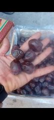 Dates - Image 1