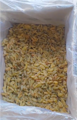 Green Raisins Origin India Minimum Order Quantity 100 Kg Quality Grade Premium Export Quality Storage Condition Cool, Dry Place (below 25°c) - Image 2