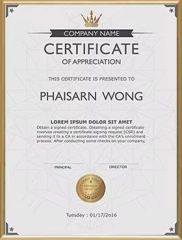 4 certificate from Tianjin Holladay Technology Co., Ltd.